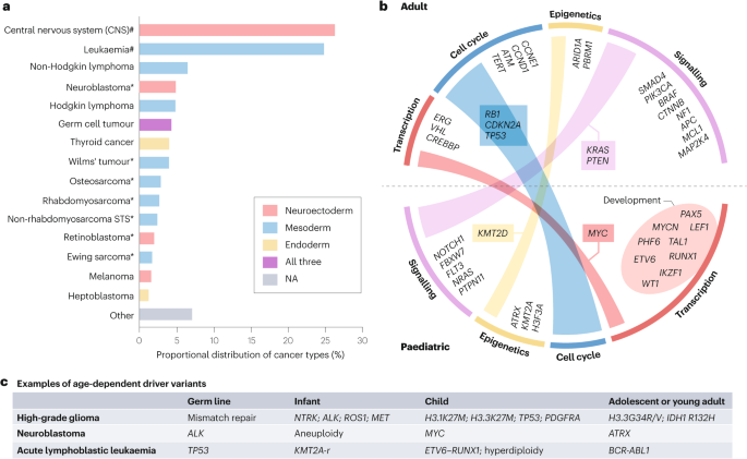 NEW content online! Developmental origins shape the paediatric cancer genome dlvr.it/T6L4X9