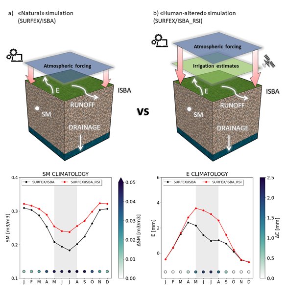 [1/2] #acceptedpaper aimed at quantifying the hydrological impacts of #irrigation. 📣
We ingested #satellite-derived (hence, observed!) irrigation amounts into a #landsurfacemodel and evaluted the impacts on key hydrological fluxes and state variables.