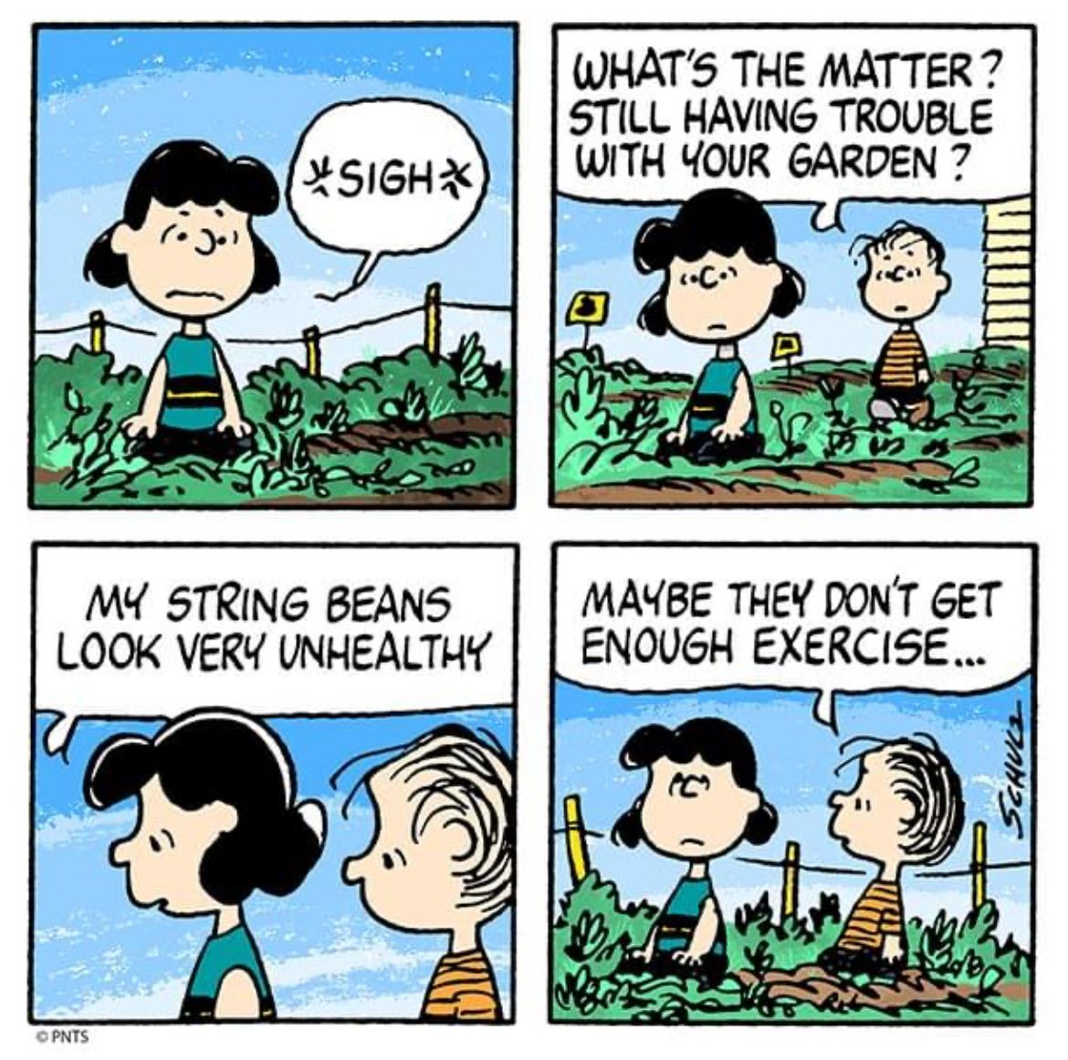 What will you plant in your garden? #Peanuts