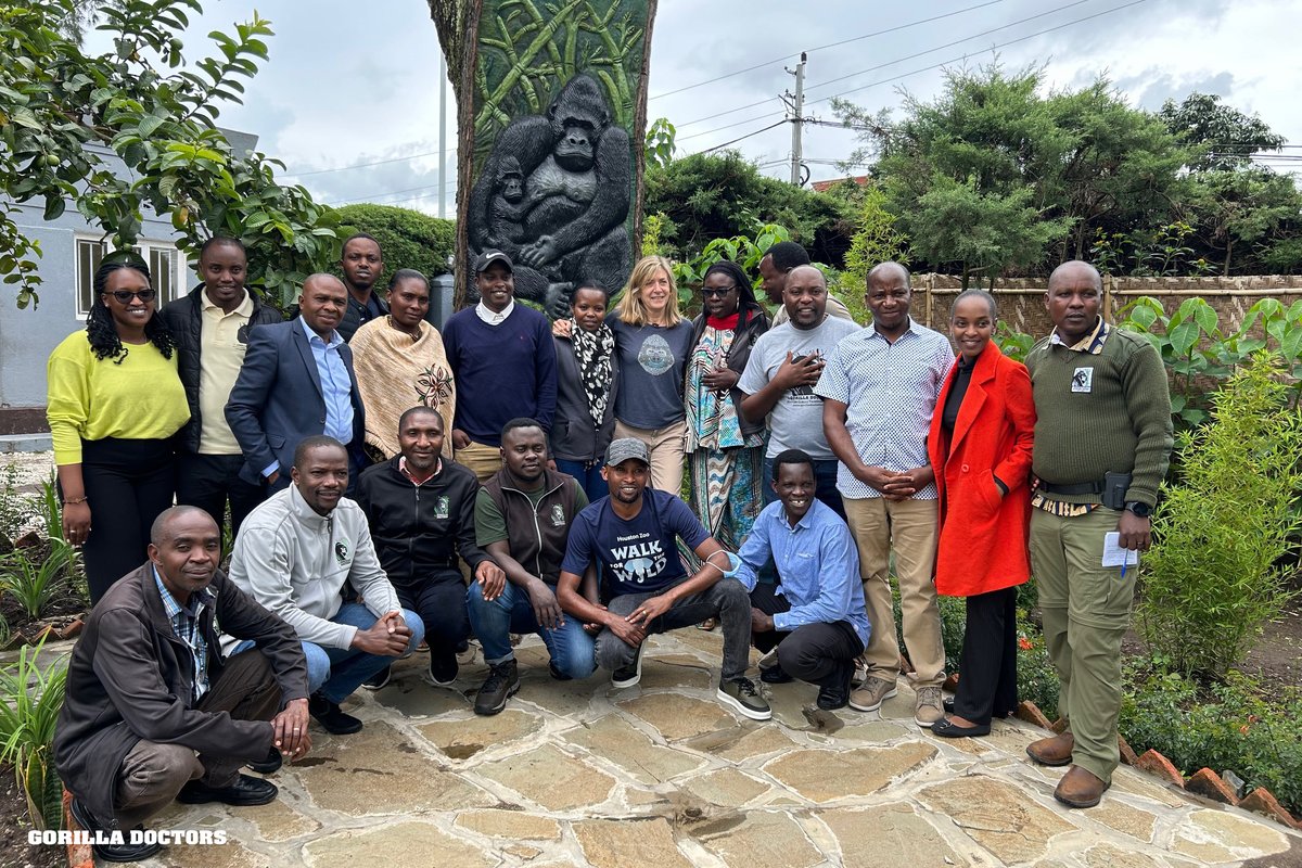 Our Executive Director, Dr. Kirsten, spent this week in Rwanda and just posted a short update on our blog. Our teams from Uganda and DRC came over to our regional HQ in Musanze, joining Dr. Kirsten and our Rwanda team for some group work & fun! READ: gorilladoctors.org/dr-kirsten-goe…