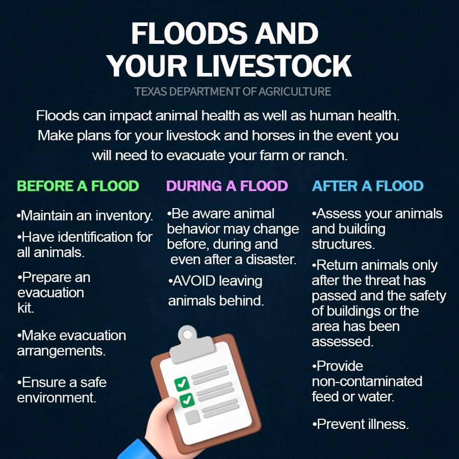 Commissioner Miller encourages all Texas farmers and ranchers to have a plan ready to protect their animals and livestock during severe weather #TexasAgricultureMatters
For more information on animal preparation and response resources, please click:
ow.ly/ZxWM50PBVx3