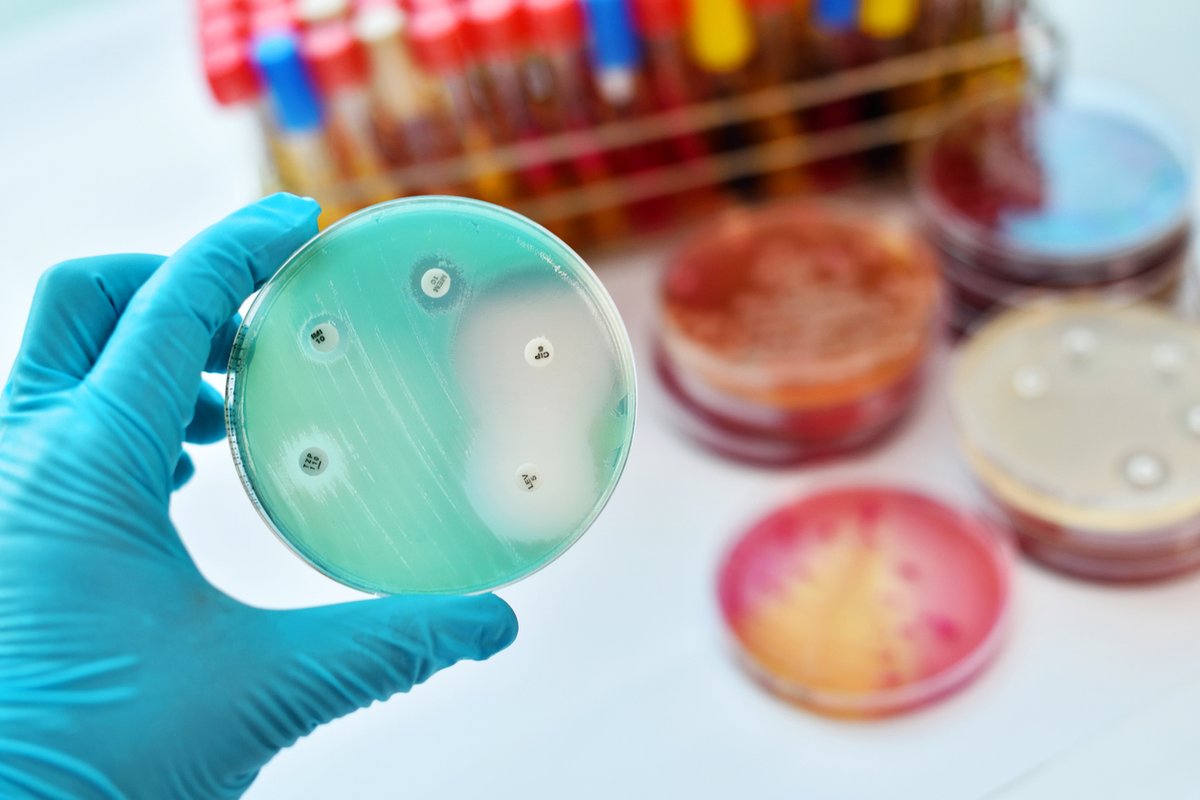 Groups call for 'actionable steps' to address antimicrobial resistance Recommendations from the AMR Multi-Stakeholder Partnership Platform aim to inform negotiations at the upcoming United Nations High-Level Meeting on AMR. ow.ly/eUG650Rveqm