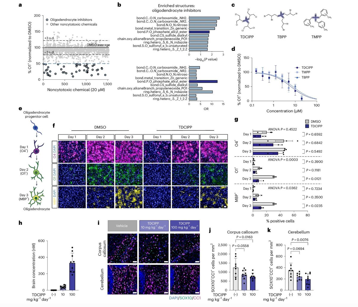 Image-based screening demonstrates that environmental compounds including quaternary compounds and organophosphate flame retardants alter oligodendrocyte development. 

buff.ly/3Vy7622 

#highcontentimaging #toxicology #screening