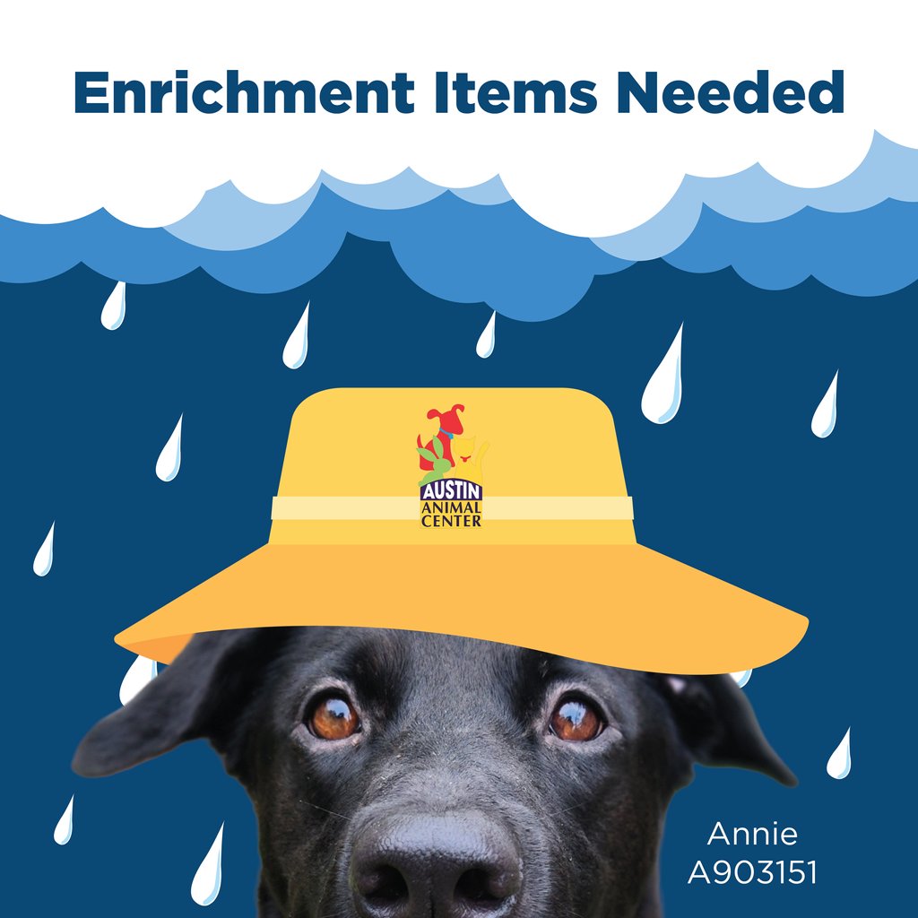 With rain and thunderstorms predicted for the next several days, we need in-kennel enrichment items for our pups! Please consider sending a long-lasting chew, peanut butter, or toy from our Amazon Wishlist: bit.ly/aacwishlist