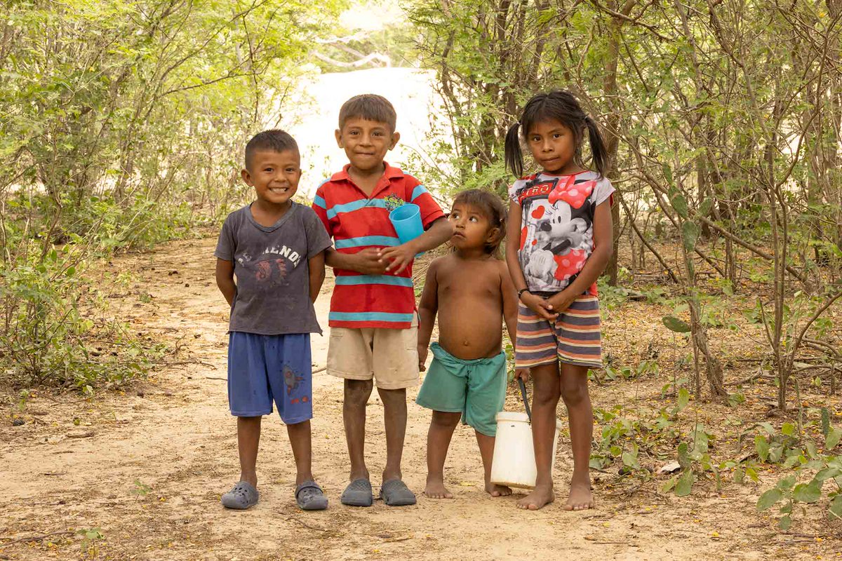 Four Wayuu children playing in the forest near a goat ranch in the Tocoromana Wayuu community, part of my new story on La Guajira, #Colombia and the future of the #Wayuu people: notesfromtheroad.com/neotropics/la-…
