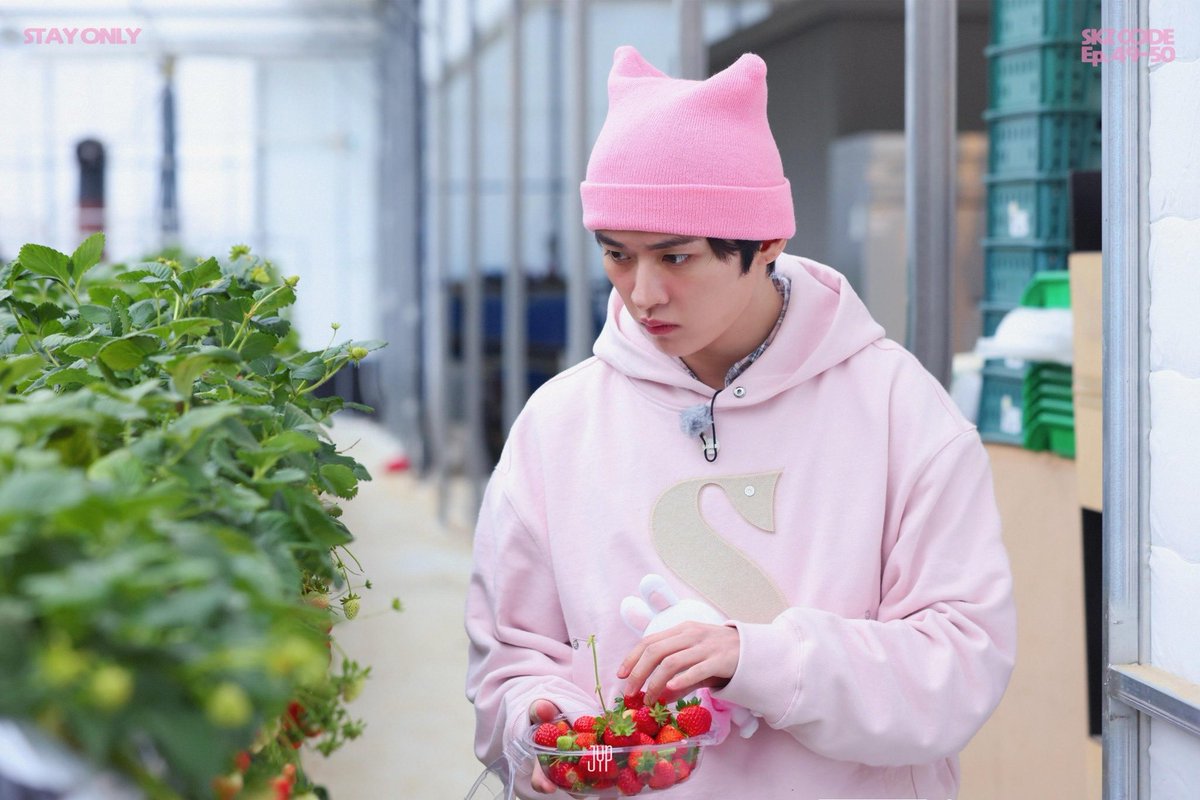 I have a deep connection with this photo because I’m actually the strawberries!