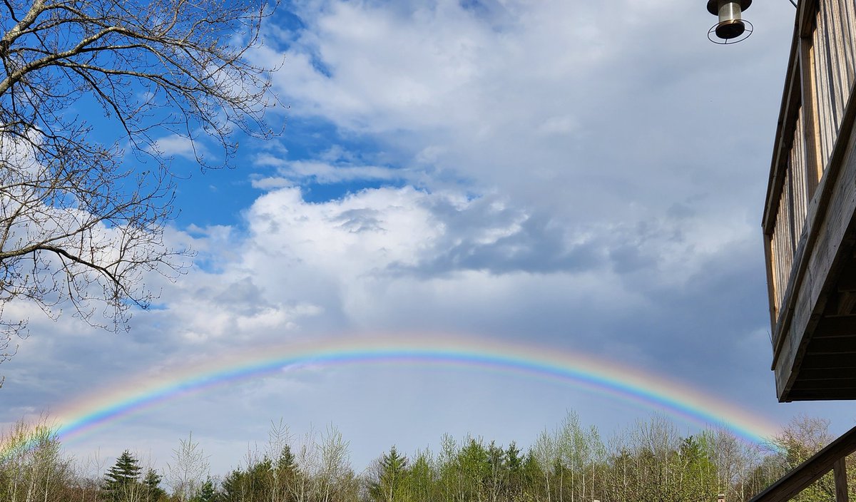 the sky said ✨️gay rights✨️