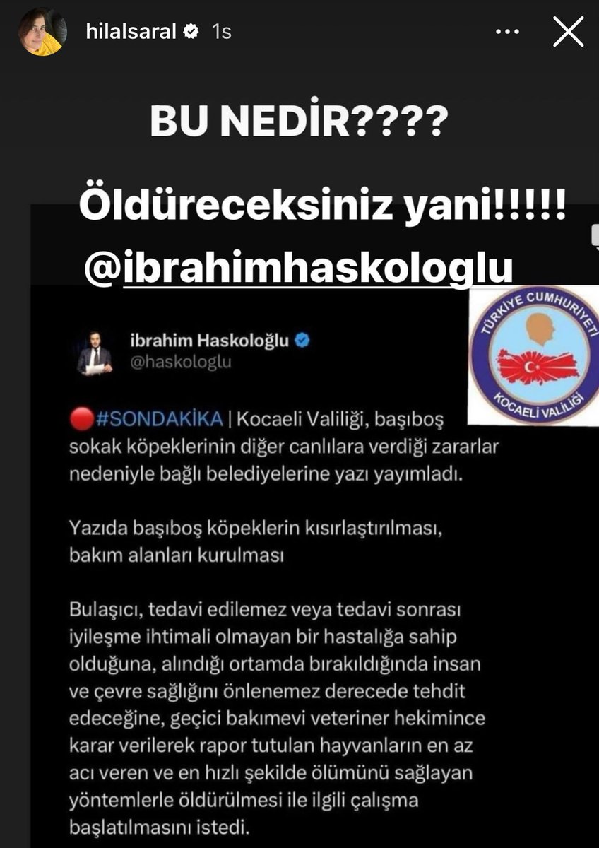 Aşk-ı Memnu dizisinin yönetmeni beni Kocaeli Valisi sanmış. 

Köpekleri öldüreceksiniz şeklinde beni hedef göstererek paylaşım yapmış. Yüzlerce küfür, tehdit mesajı geliyor. 

Geçen sene de AFAD Başkanı diye küfür ediyorlardı.

Bu ülkenin vatandaşı olmasaydım aslında komedi filmi…