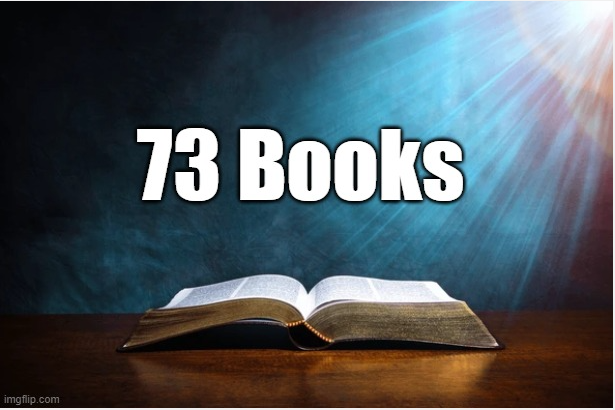 @faithwillsaveu 73 Books.