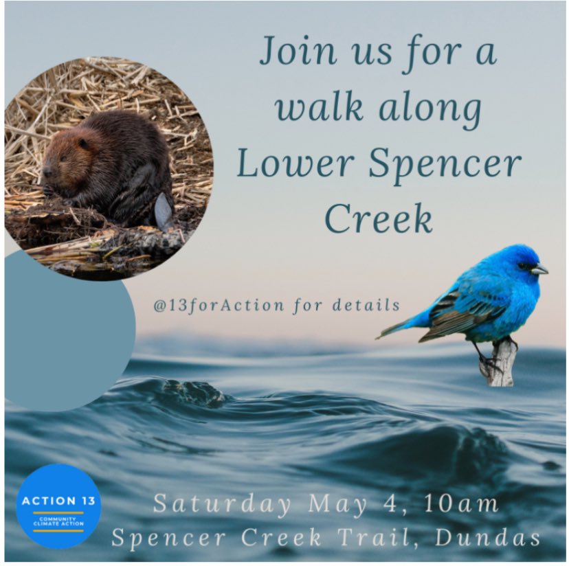 Happening this Saturday in #dundasont. Meet 10am at Cootes Dr at Dundas St. Observe and interact as we walk and talk and learn in this important natural area. 🌱 🐦 🔭