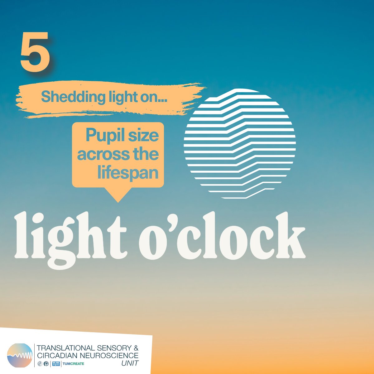 The season one finale of Light O'Clock is a special episode! ✨🥲

(1/5) In a new format, host <a href="/caroguidish/">Carolina Guidolin</a> talks to <a href="/rafaelrlazar/">Rafael Lazar, PhD</a> about one of his studies - shedding light on the fascinating science behind the pupil's response to light 👁