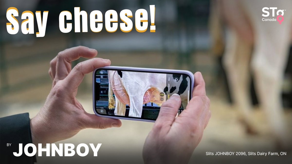 JOHNBOY from #STgeneticsCanada continues to impact Canadian dairy producers following the April 2024 Genetic Summary. #JOHNBOY is +3708 GLPI +2544 PRO$ & A2A2 +94 kg Fat +.55% +77 kg Prot +.40% +11 Conf +9 MS. Available in #Ultraplus™. More: bit.ly/3oyg7HQ