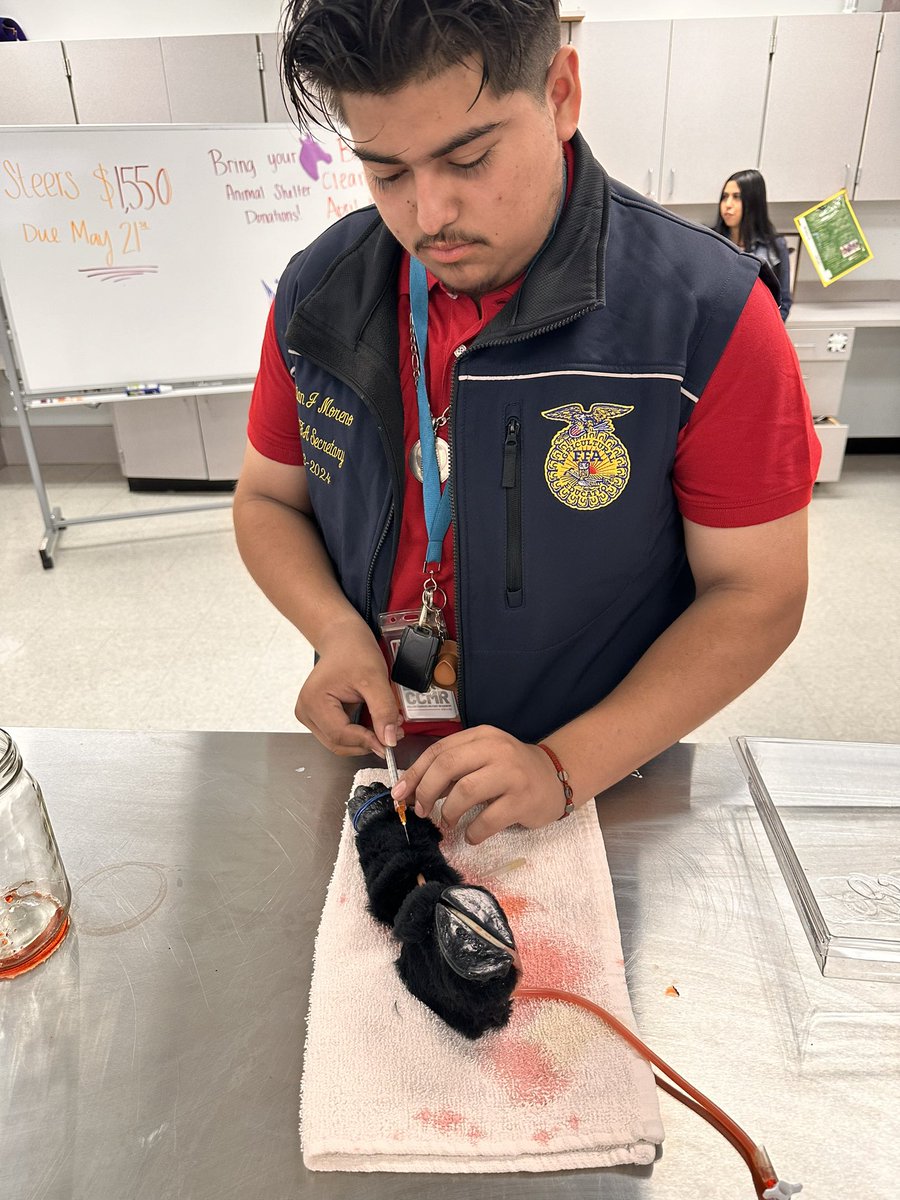 MsNealyAISD's tweet photo. Cephalic vein blood draws 💉🩸 https://t.co/t2L5YdzBXi