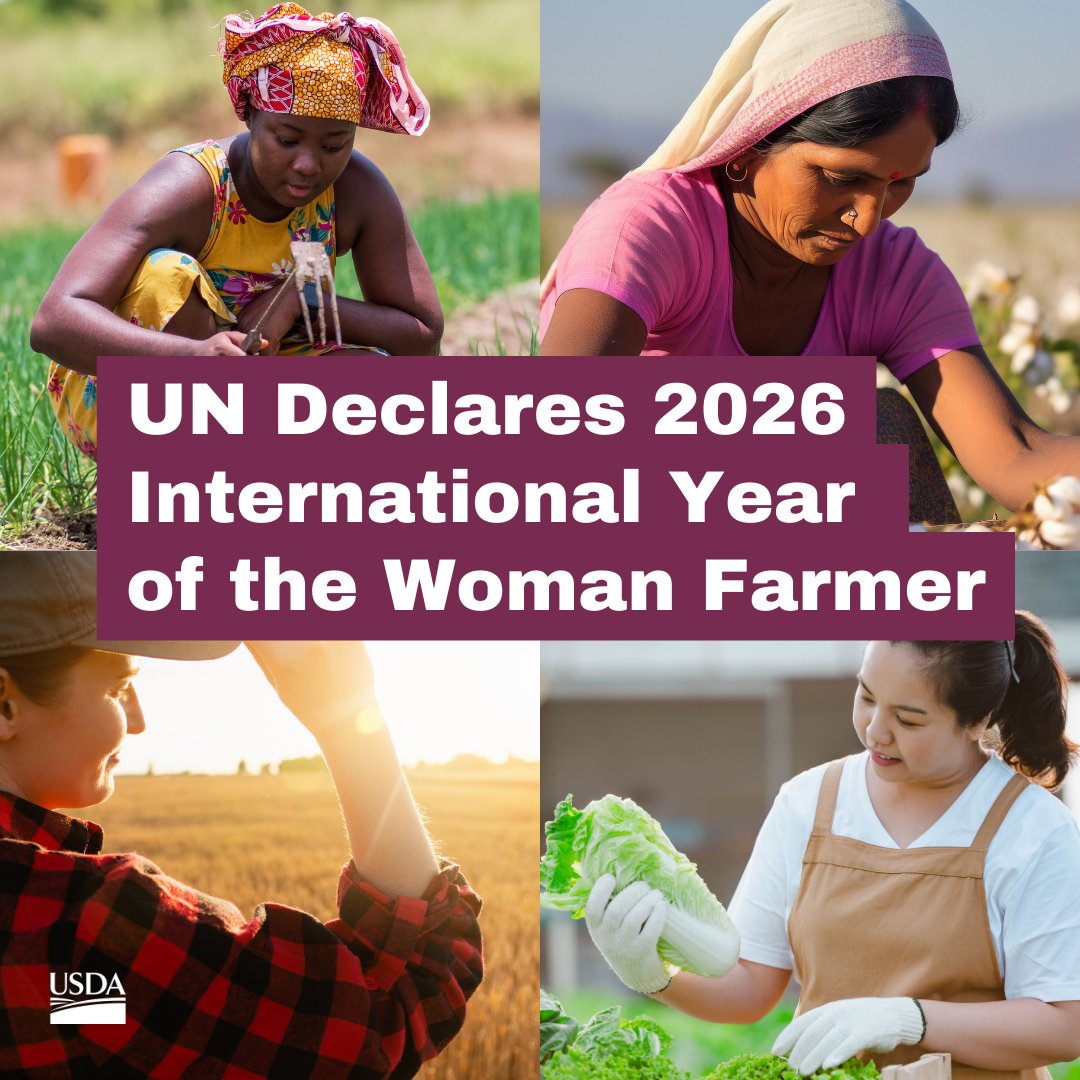 The International Year of the Woman Farmer shines a global spotlight on women in agriculture, highlighting the challenges they encounter while cultivating change. Learn more about this initiative ➡️ usda.gov/iywf