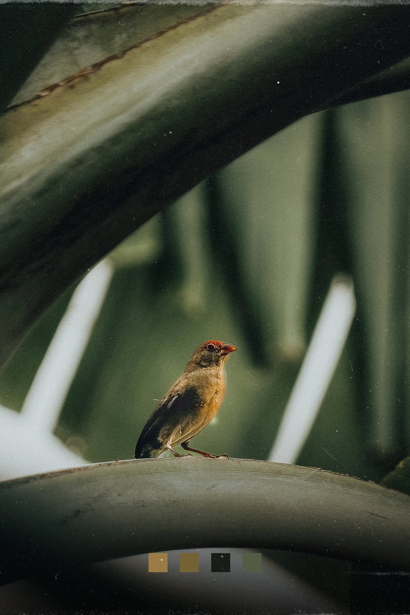 A moment with nature's tranquility.

🎞️: FUJIFILM X-T5