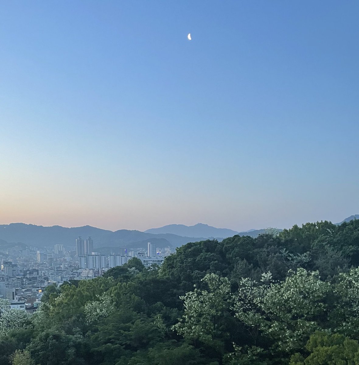 simplepoem2's tweet photo. 아침 달 보고 초록을 담고 있는 시간. 불안하지만 괜찮을 거라는 마음으로 하루하루 소중하게. https://t.co/Fz4wYVfCW6
