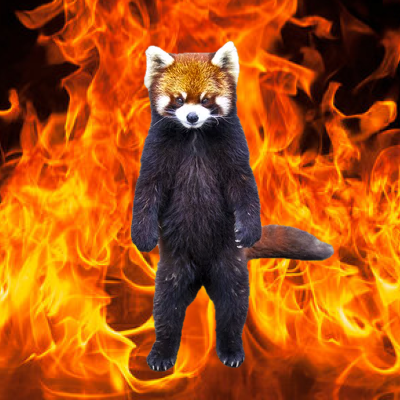 RichiRedPanda's tweet photo. Someone said Fire on Raydium?

Burns👀 https://t.co/plYwCWJPyx