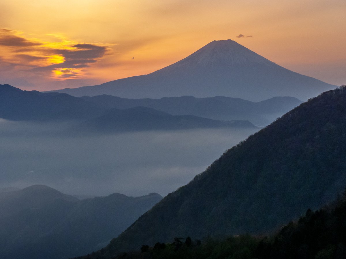 やさしい朝

身延町にて以前撮影

#富士山 #朝焼け #雲海