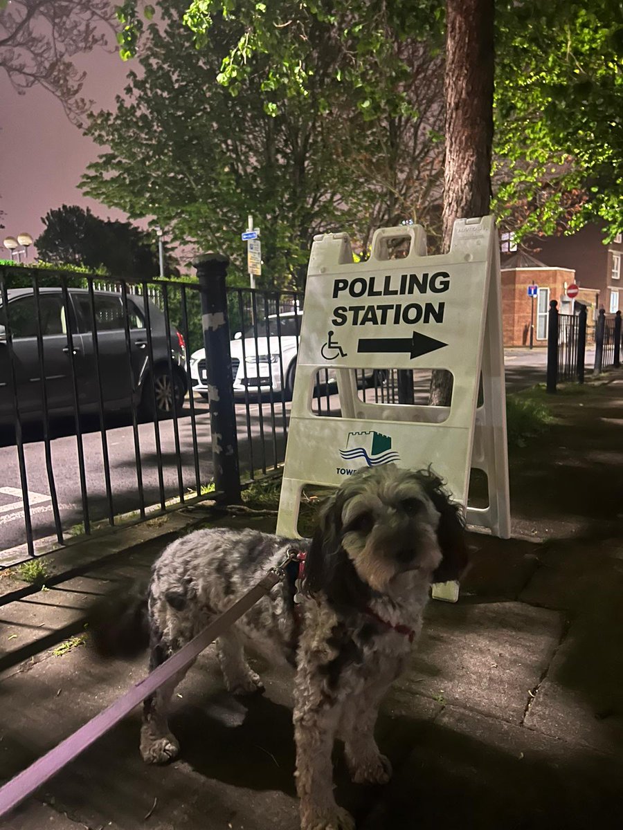 Pippin doing her #DogsAtPollingStations pose tonight