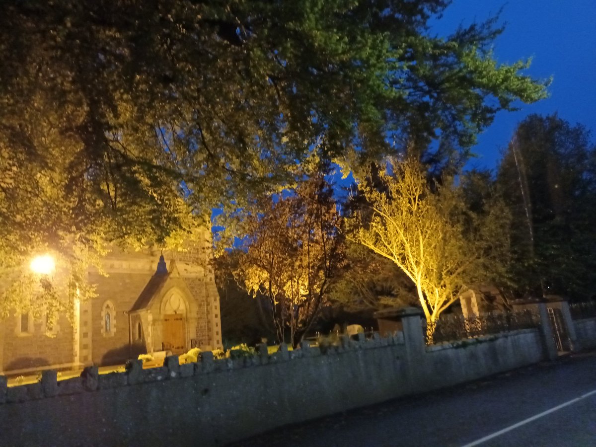WildersLiz's tweet image. #Day122 #Day1215
#100daysofwalking #200daysofwalking 
 #round4crew @NTBreakfast #MentalHealthAwareness #Kildare
Damp misty evening walk,supporting an injury so taking it slow after a stressful day