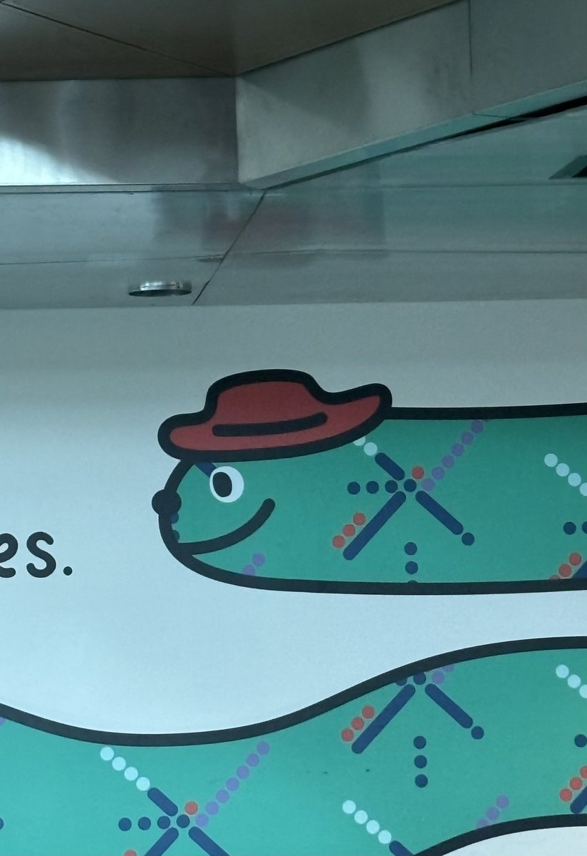 Debutation spotted at @flypdx  🤠🐍