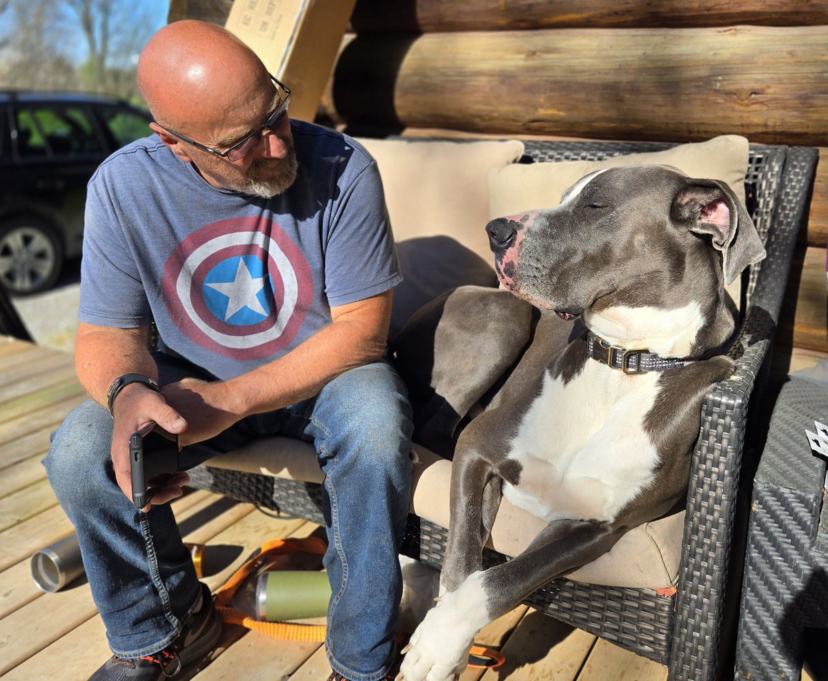 Dad and I worked hard today, so we decided to take a little break in the sunshine. Mom says the love seat was the perfect spot.....🥰 #dogs #dogsoftwitter #dogsofx