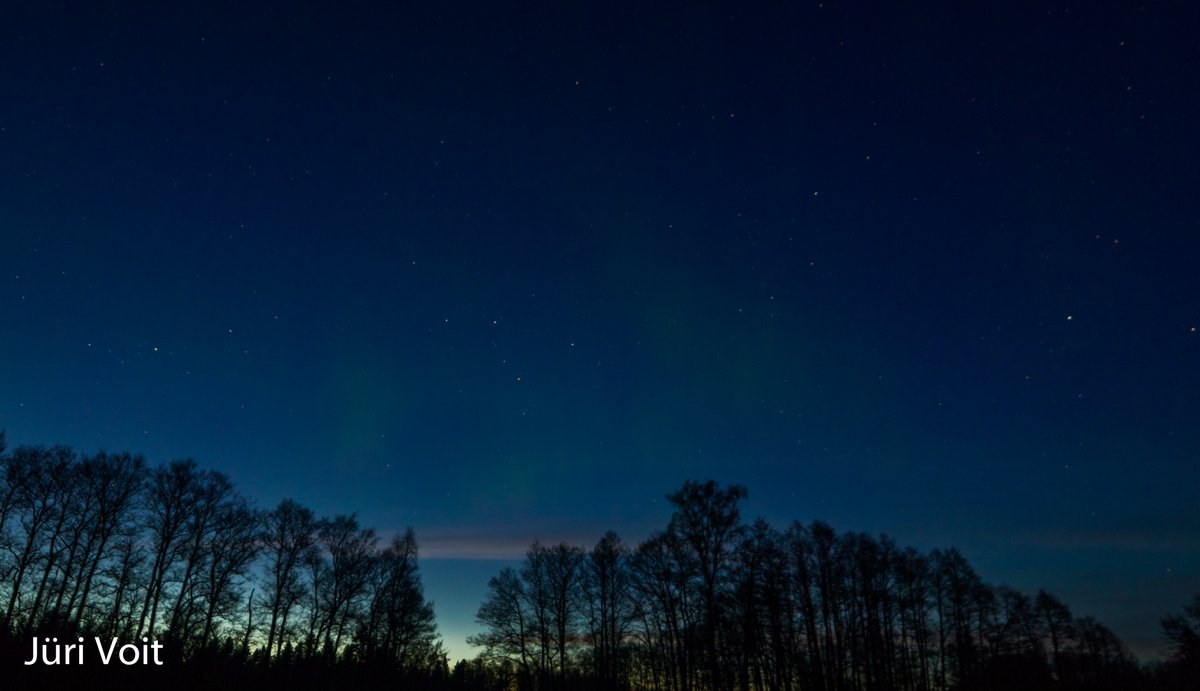 Aurora lights.2.05.2024.Estonia.#Auroraborealis ,#northenlights.