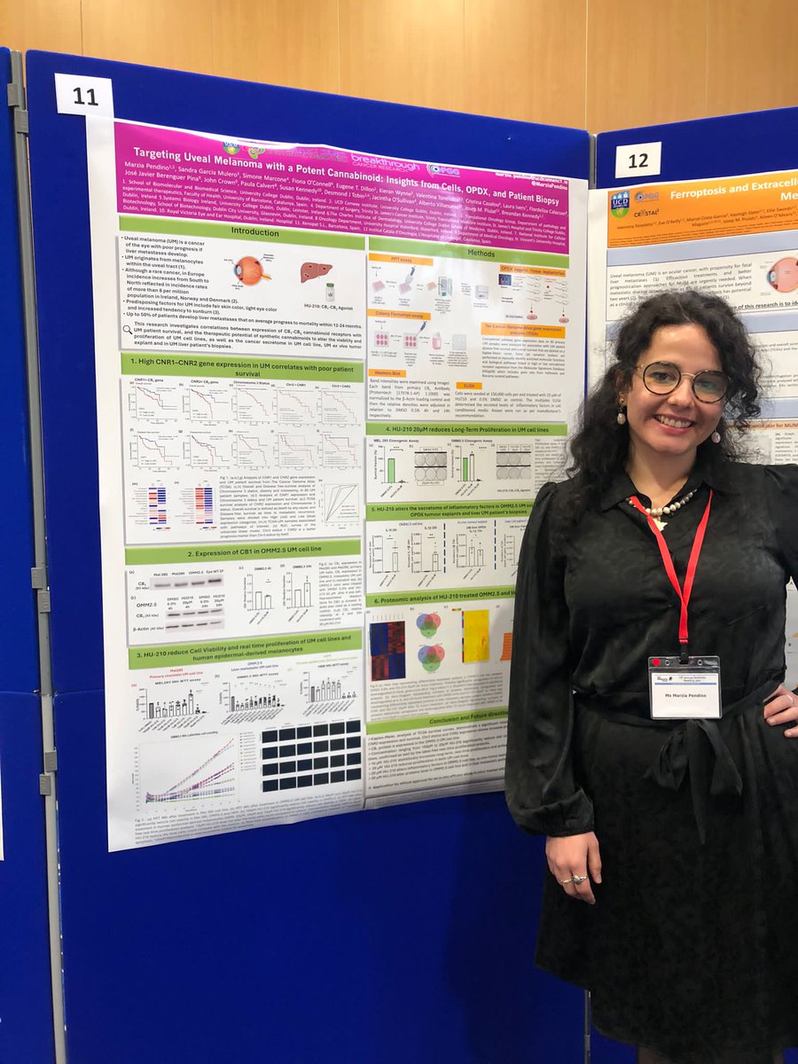 'Two talks, twice the excitement! 🎉 Presented at both @irishmelanoma and #SBBSRD24. I am honored to clinch the Best Talk at @irishmelanoma! Huge thanks to everyone involved.@BreakthroCancer  @OPGG_UCD @IrishResearch @BreandanKennedy @UCD_SBBS