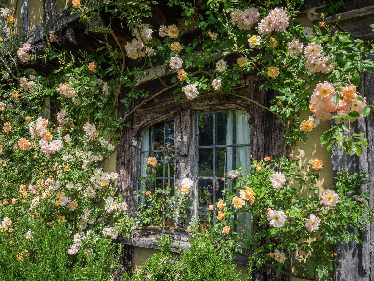 Smallhythe Place in spring, Tenterden, Kent, UK, 2024.