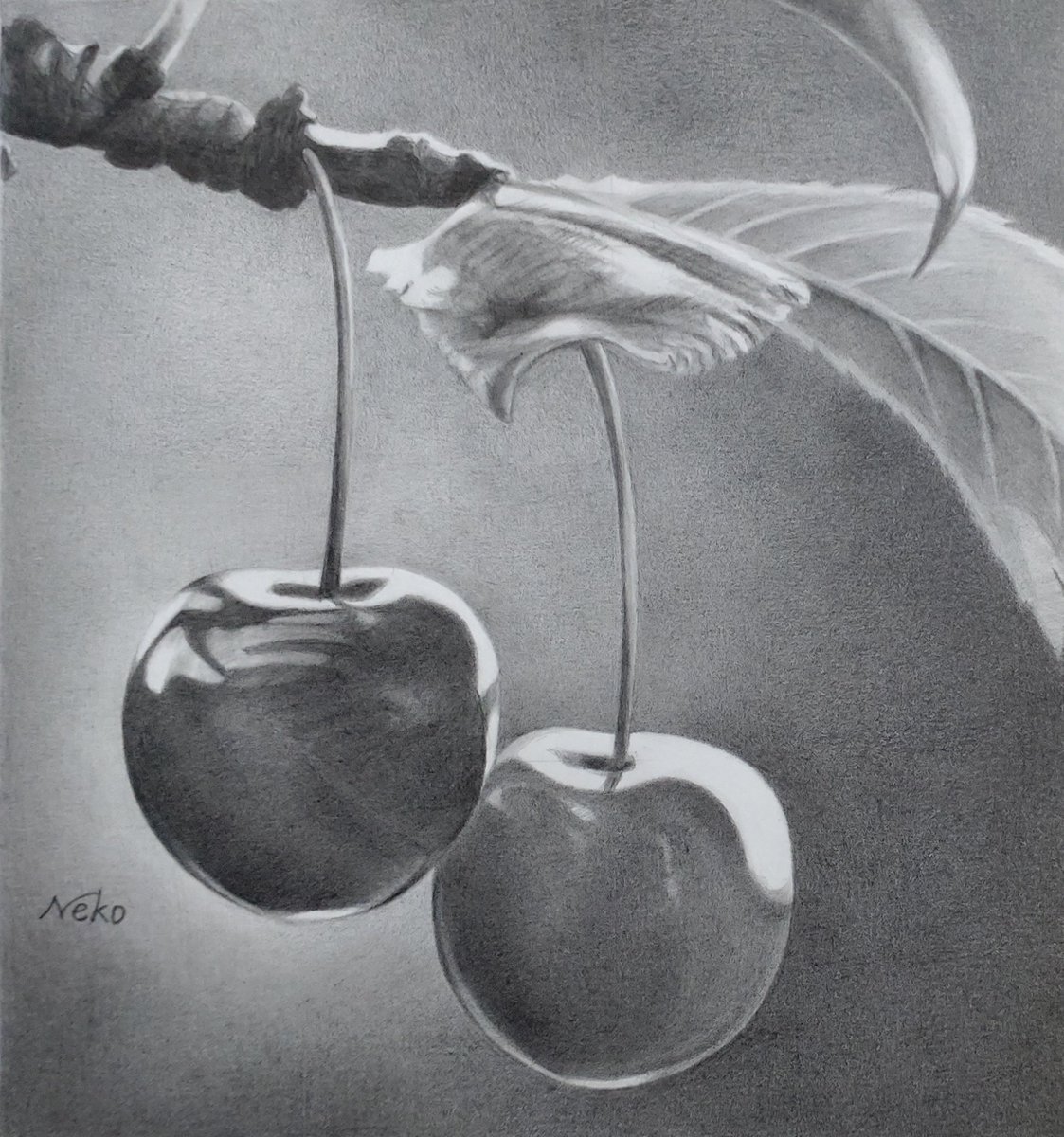 neko (=^・ｪ・^=)🐾🐾 on X