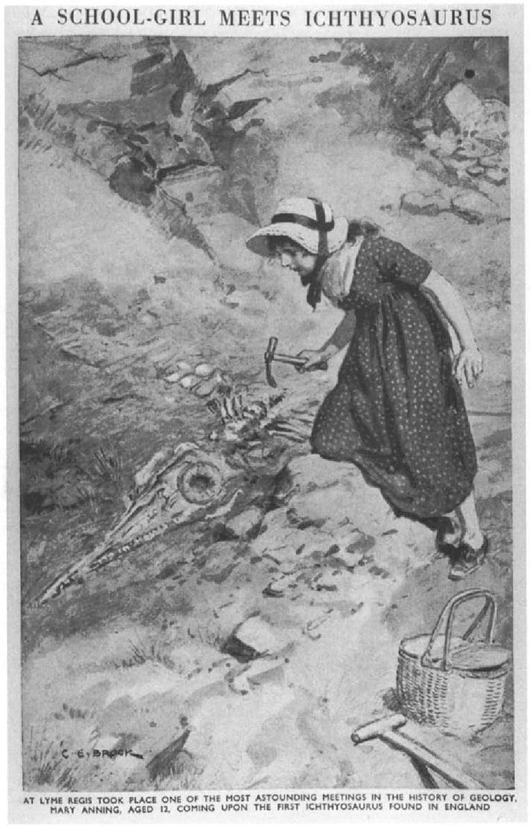 Contrary to common belief, Mary Anning, wasn't obscure or unknown within palaeontological circles. She was a reowned celebrity in Lyme, with her recognition reaching back to her childhood 🐚 'A School-girl Meets Ichthyosaurus' Arthur Mee's Children's Encyclopaedia, 1925