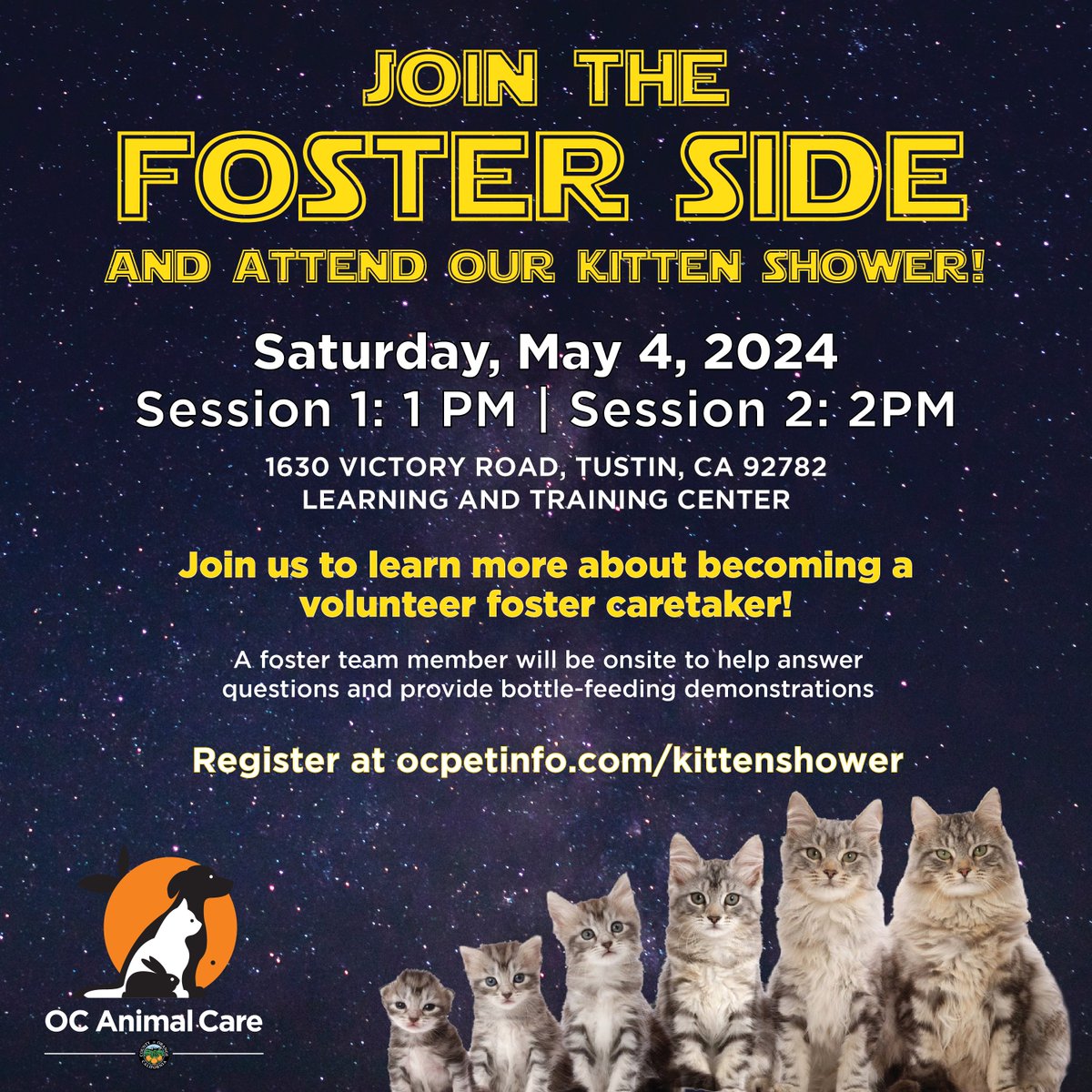 Our Kitten Shower is around the corner! Don’t forget to register for a session so you can learn about fostering. As a foster caretaker, you'll provide a safe and nurturing environment for kittens until they are ready for adoption.