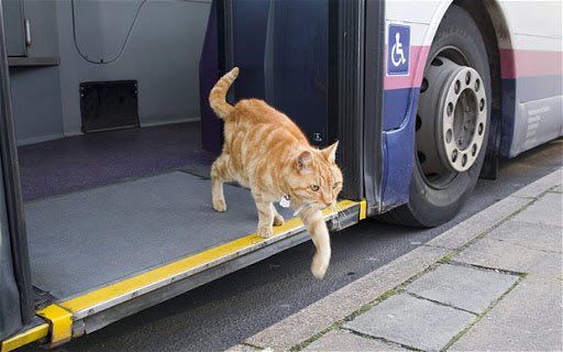 have a Thank you nice day. bus driver