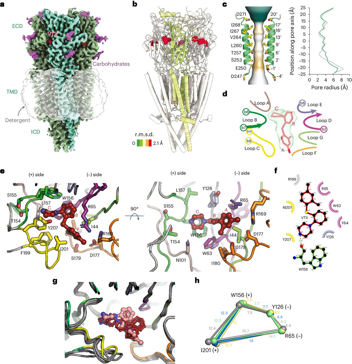 Structural determinants for activity of the antidepressant vortioxetine at human and rodent 5-HT3 receptors | Nat Struct Mol Biol

doi.org/10.1038/s41594…