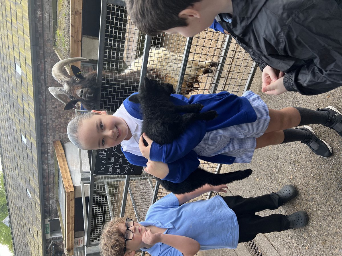 Y5’s trip to Croxteth Country Park Farm, we learnt about the life processes of the different animals on the farm and helped the farmers to feed and groom them
We visited a special, walled garden, it was like the magical garden we have been reading about in ‘Tom’s Midnight Garden’