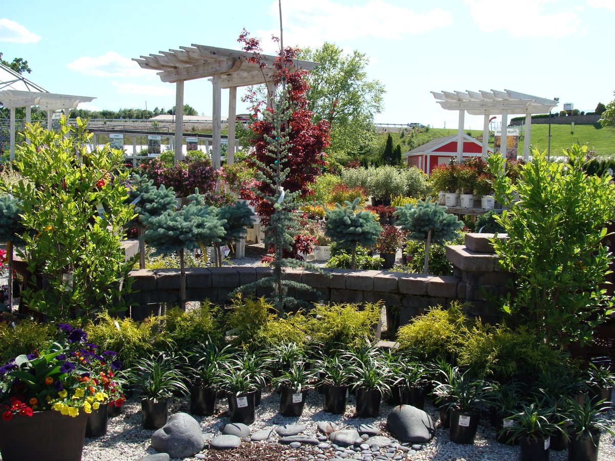 Mother's Day is coming up fast on May 12, 2024! This is the day to show Mom how much you love and appreciate her. Plan ahead and find a perfect gift that will show Mom just how special she is to you. Click the link for Great Gift Ideas for Mother's Day: hillermann.com/blog/2024/5/gr…