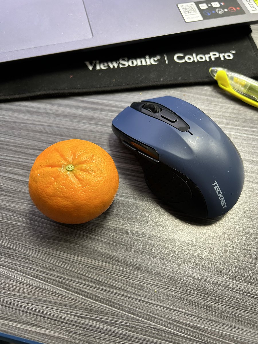 molsen14's tweet image. That moment when you’re a teacher in May and you can’t figure out why your computer screen won’t wake up and you realize your hand is on the mandarin orange and not your mouse. God help me….#teachertired