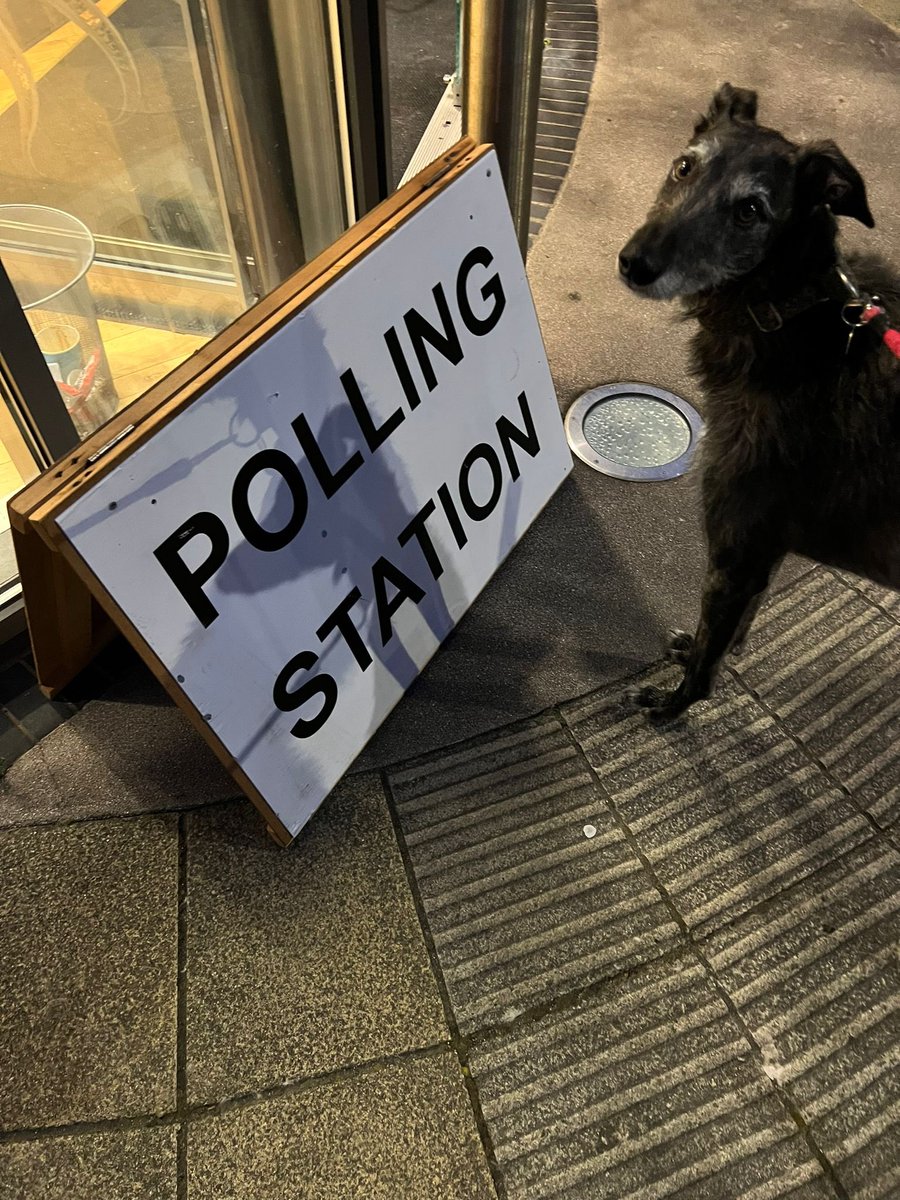 Civic duty done for the first time for Fred. He’s looking forward to the Autumn #DogsAtPollingStations