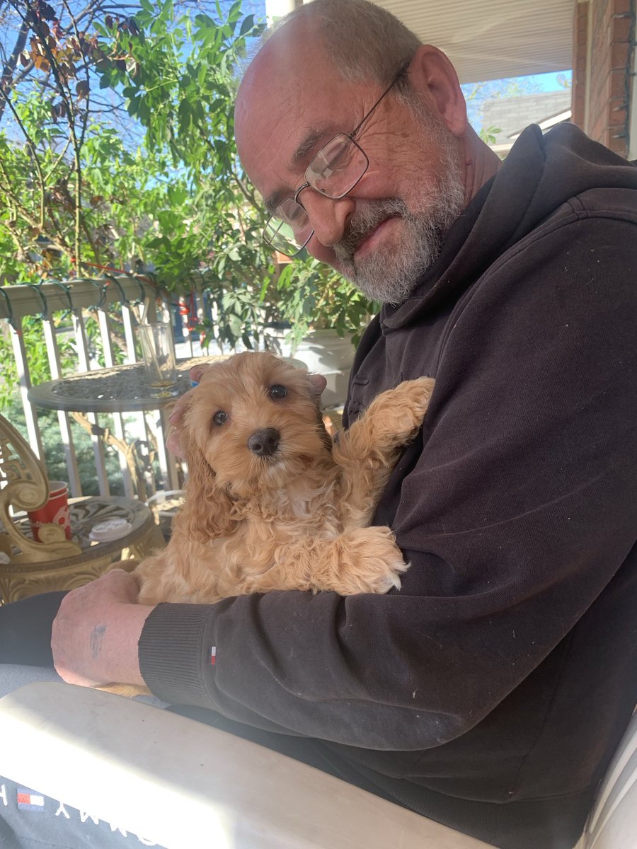 дедушка ЭЭХ (@vladgorr) on Twitter photo 