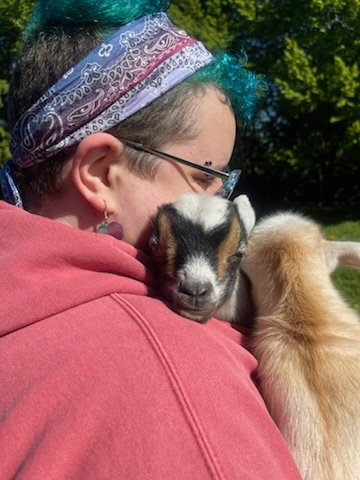 Ice Bear is Over It tweet media