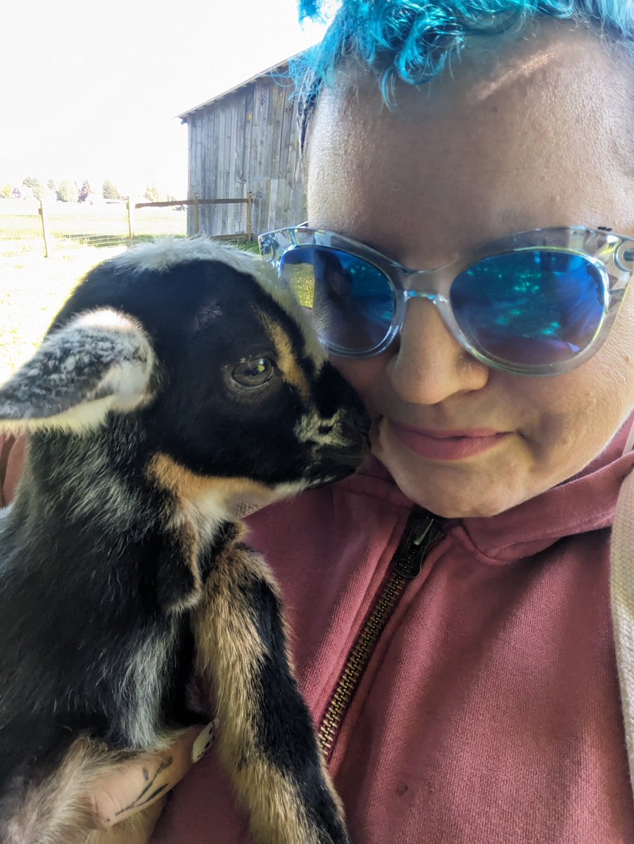 Ice Bear is Over It tweet media