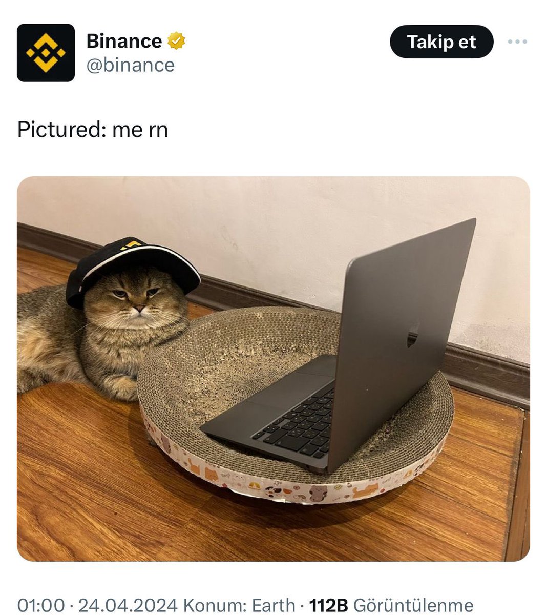 #Meme tokenlerde yeni furyanın temelleri tam gaz atılıyor paylaşımlar peşpeşe Binance Kucoin Okex Mexc Htx Elon hepsinden geliyor kedi sezonu için : 

$CHONKY 🐈
$PSPS 🐈‍⬛
$YUKI ⚔️ (Samurai Cat)