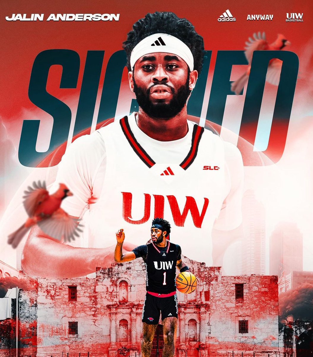 Arman Jovic tweet media