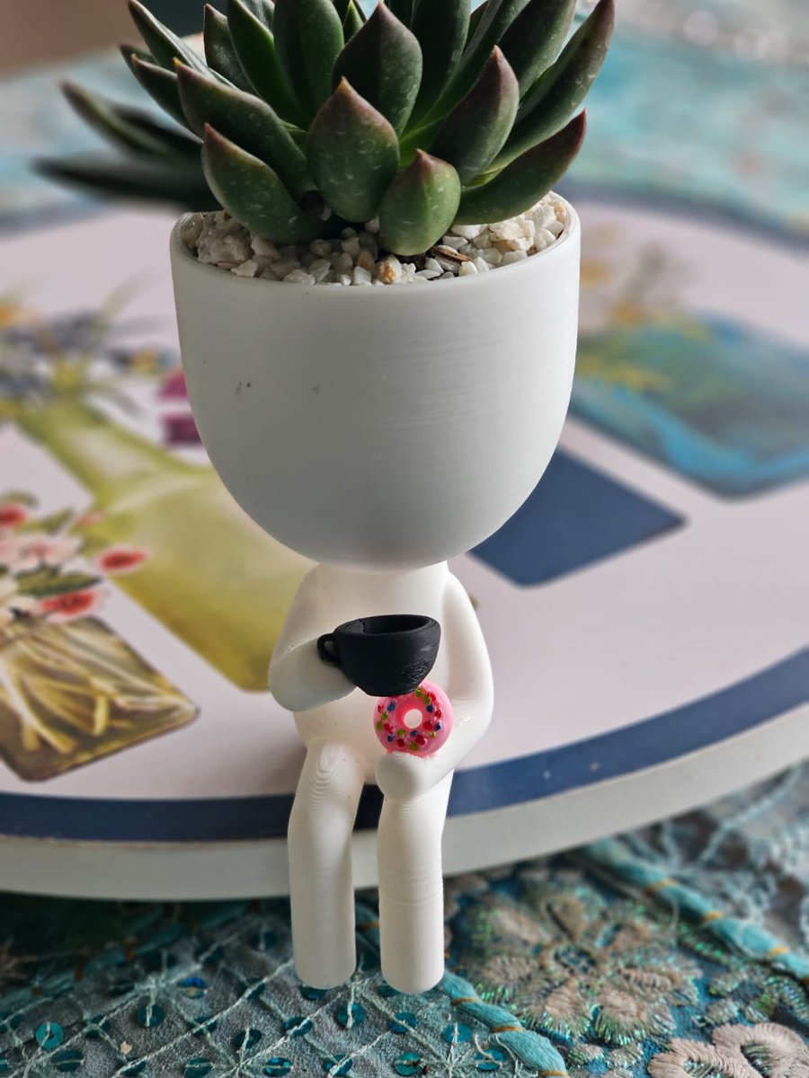 Bringing some natural charm to the dining table with this adorable succulent in a cute pot! Perfect way to add a touch of greenery to your home decor. #succulents #homedecor #greenery #cuteplants