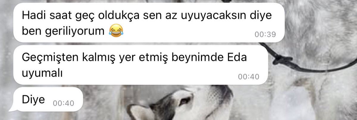 Yarı yaşım kadar, ömrümün yüzde ellisi hatta daha fazla…
Cümlem çok, kelimelerim fersiz; kısa fakat kurşun gibi keskin bir öbek : iyi ki…

O zaman : 3 Mayıs Türkçülük günü kutlu olsun!