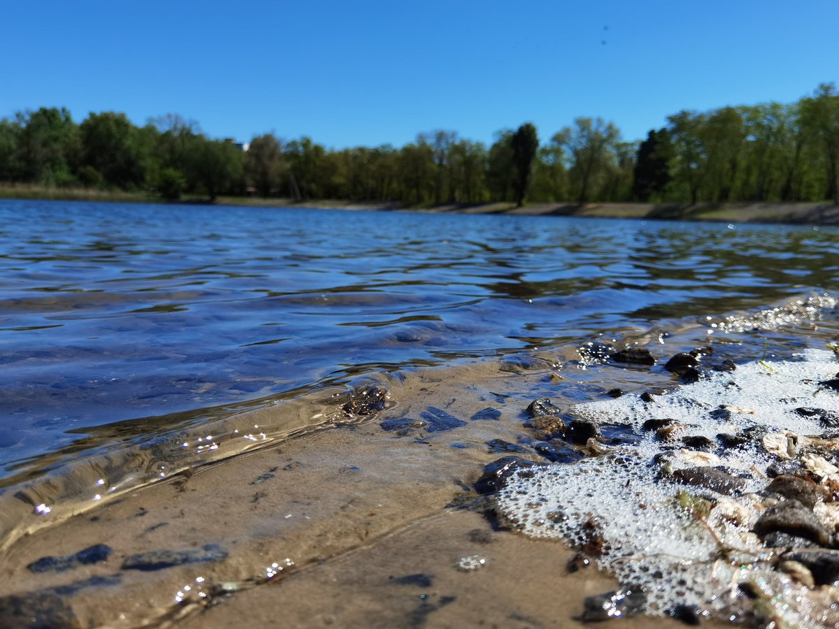 Погода така сонячна та тепла ніби вже літо🌞💛

#nature #Spring2024 #spring #springphoto #naturephoto #photonature #photo #photooftheday #photo #photoOG  #весна #фото #фотовесна #фотоукраїна #україна #природавесна #природа #фотодня