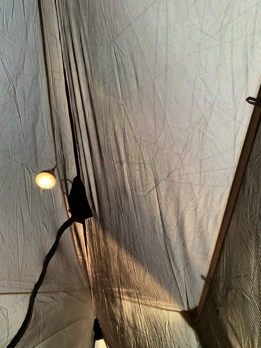 「見知らぬ天井…  おはよーございます」|OTAMAのイラスト