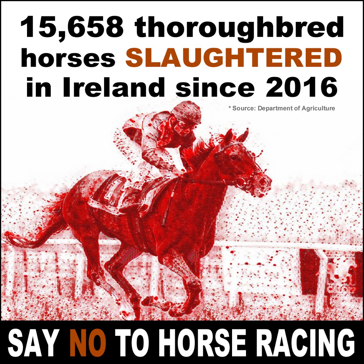 15,658 thoroughbred horses SLAUGHTERED in Ireland since 2016 (including 1,428 in 2023) 💔🐴 #YouBetTheyDie Say NO to horse racing banbloodsports.wordpress.com/2024/02/19/142… ❌🏇❌