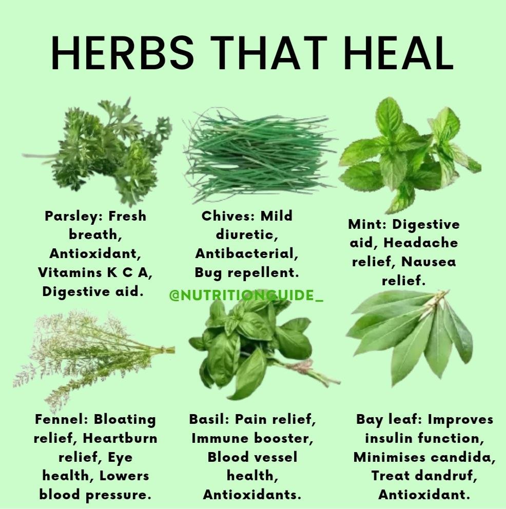 Herbal remedies that have the ability to heal and boost physical and mental well-being.