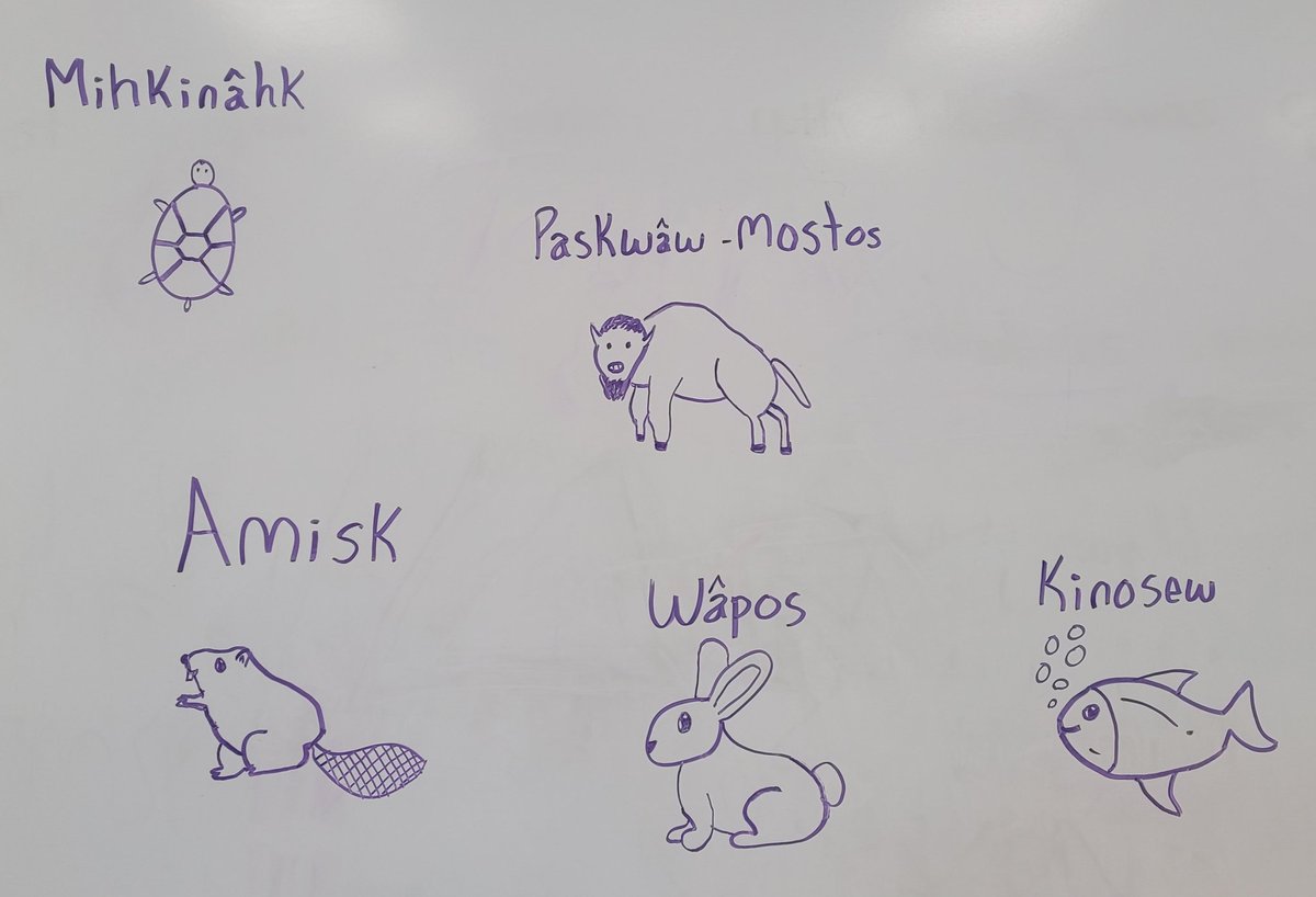 A huge miigwech to Becca and Patti for spending the day with us and sharing their knowledge and love of Cree culture. Students loved listening to the stories and seeing the beautiful collection of artifacts. <a href="/WhyteRidgeSCH/">Whyte Ridge School</a> <a href="/PTLibLC/">PTLearningCommons</a>
